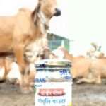 गोधुली (Godhuli)
