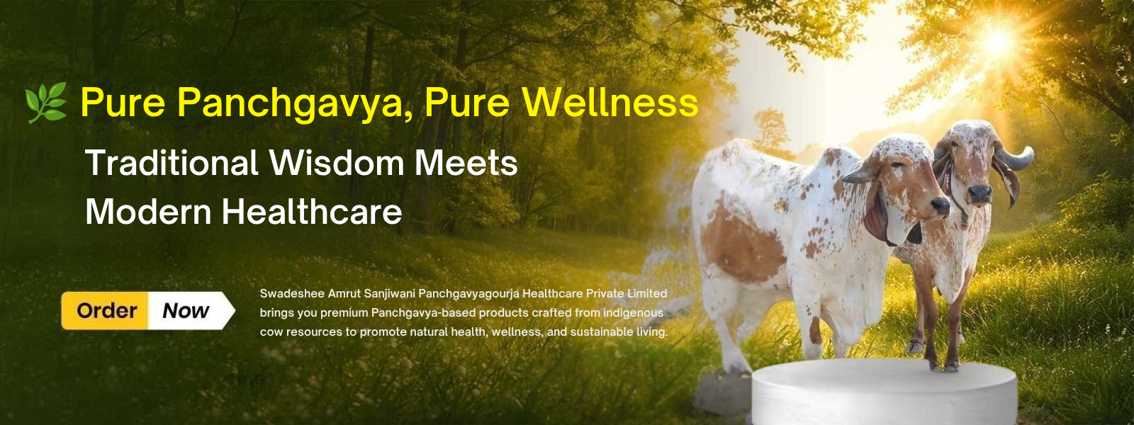 Traditional Panchgavya Purity You Can Trust Experience the Authentic Bilona tradition in every bite. (1)