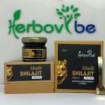 Herbovibe Shudh Shilajit Resin form (20g)
